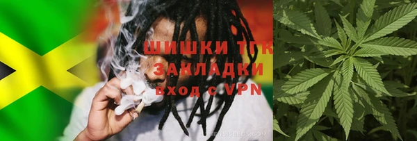 дживик Горнозаводск