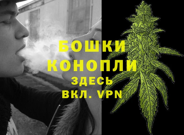 прущий лед Горняк