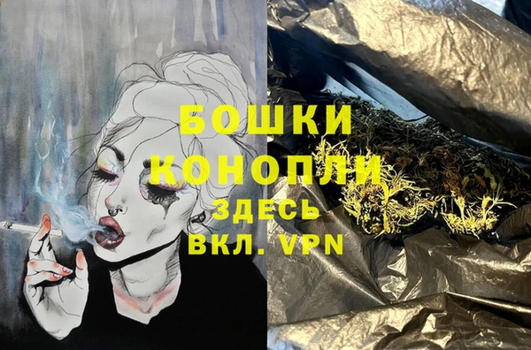 прущий лед Горняк