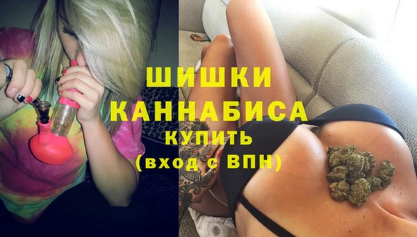 дживик Горнозаводск