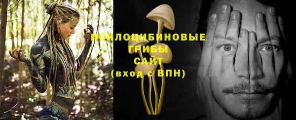дживик Горнозаводск