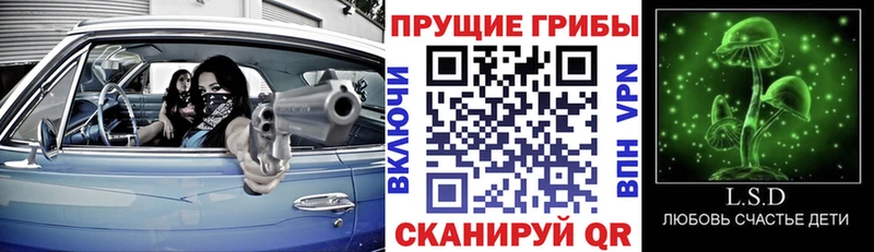 Купить закладки  Костерёво  Псилоцибиновые грибы Cubensis 