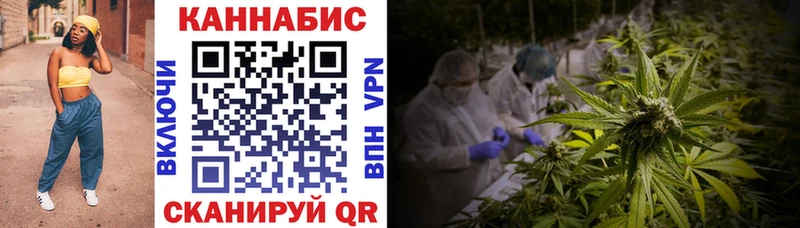Купить где  Костерёво  Марихуана план 